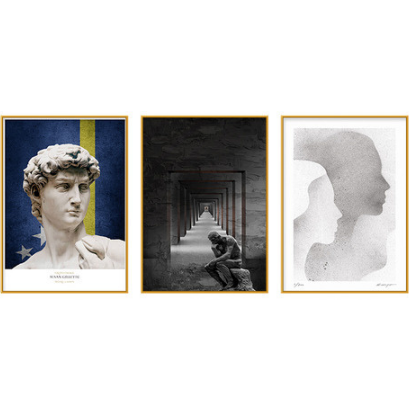Noble Set of 3 Alloy Matt - Golden Frame Wall Art