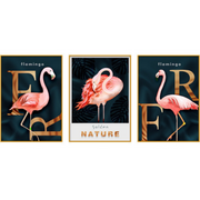 Pink Harmony Set of 3 Alloy Matt - Golden Frame Wall Art