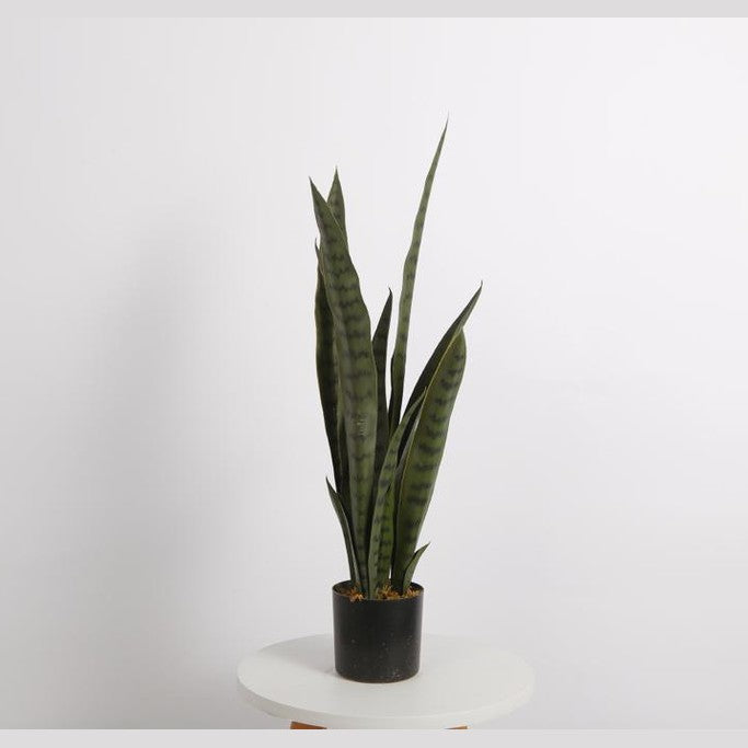 Snake Faux Plant 76cm/ 30"