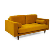 Robbie Velvet Loveseat