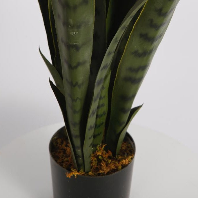 Snake Faux Plant 76cm/ 30"