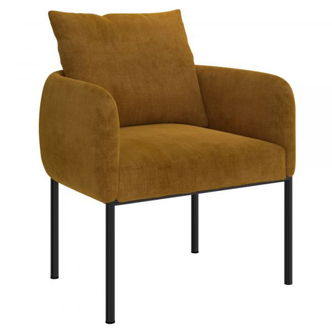 Petrie Accent Chair in Mustard with Black Leg