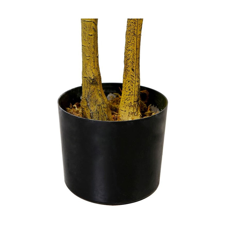 Ficus Tree Faux Plant 170cm/ 67"
