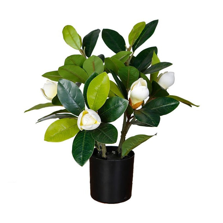 Magnolia Tree Faux Plant 40cm/ 15.7"