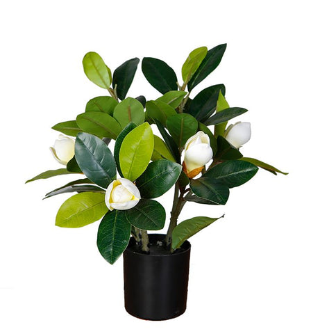 Magnolia Tree Faux Plant 40cm/ 15.7