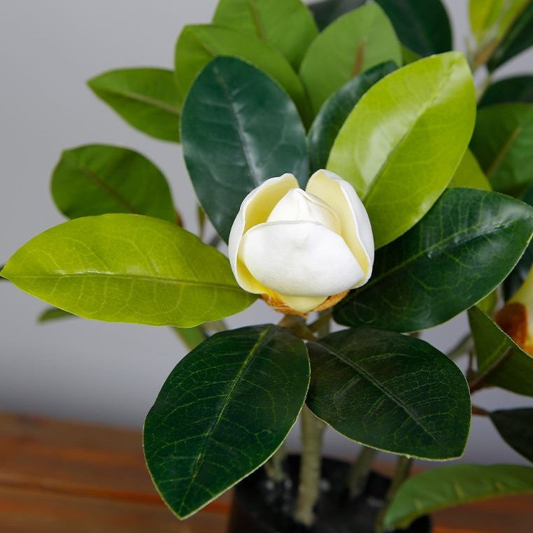 Magnolia Tree Faux Plant 40cm/ 15.7"