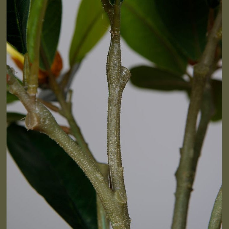 Magnolia Tree Faux Plant 40cm/ 15.7"
