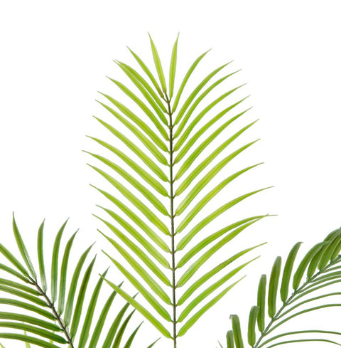 Areca Palm Faux Plant 180cm/ 70.8"