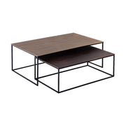 Roche Nesting Coffee Table, Set of 2