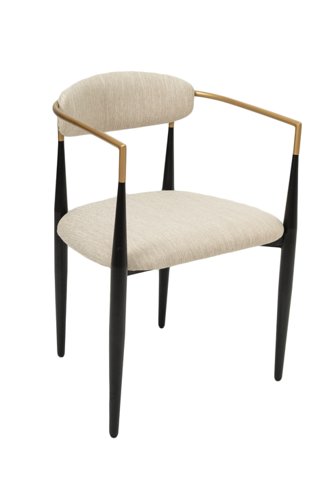 modern Pilla dining chairs