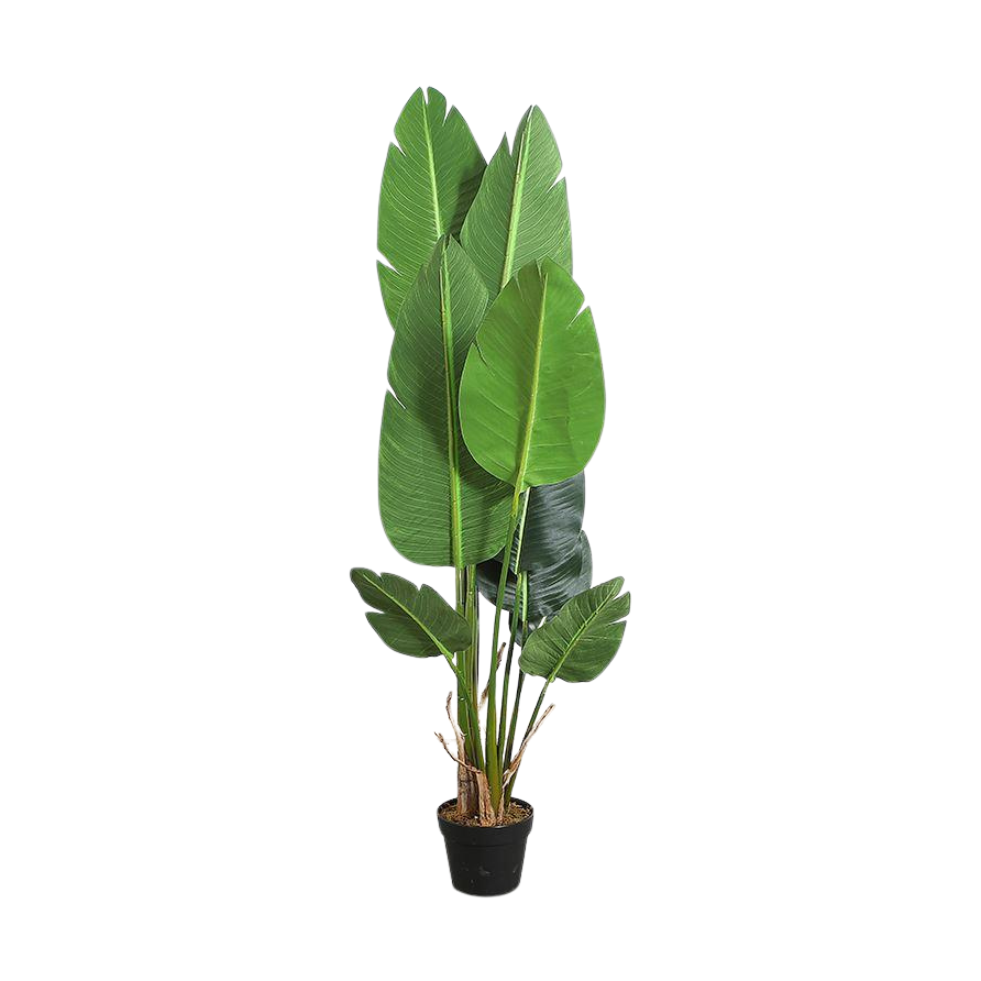 Strelitzia Faux Plant 150cm/ 59"