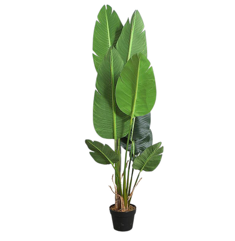 Strelitzia Faux Plant 150cm/ 59