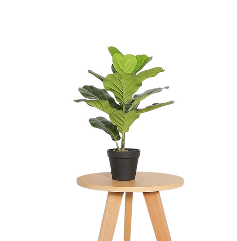 Fiddle Leaf Fig Faux Plant 50cm/ 19.7