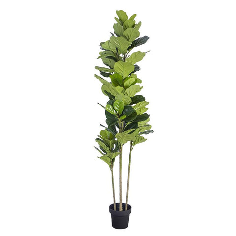 Fiddle Leaf Fig Faux Plant 185cm/ 72.8