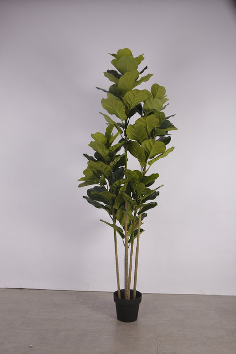 Fiddle Leaf Fig Faux Plant 185cm/ 72.8"
