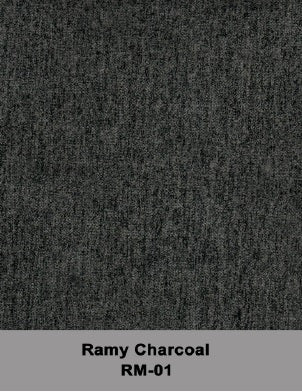 Randall Sleeper Sectional - Fabric - Ramy Charcoal